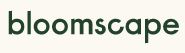  Bloomscape Coupon Code & Code reduction